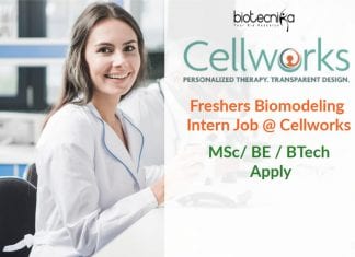 Freshers Biomodeling Intern Job