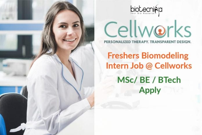 Freshers Biomodeling Intern Job