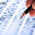 Freshers Syngene Genetic Toxicology