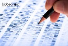 Freshers Syngene Genetic Toxicology Job Opening – Apply Online Freshers Syngene Genetic Toxicology