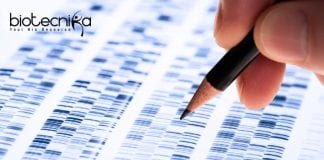 Freshers Syngene Genetic Toxicology