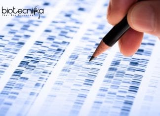 Freshers Syngene Genetic Toxicology