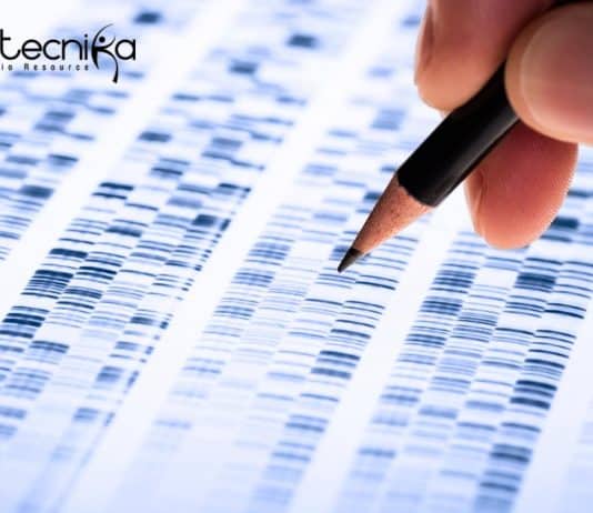 Freshers Syngene Genetic Toxicology