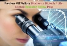 Freshers VIT Vellore Biochem / Biotech / Life Science Research Fellow Post Freshers VIT Vellore Biochem