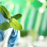 GBPIHED Biological Science Job – Senior Project Fellow Post GBPIHED Biological Science Job