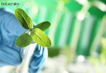 GBPIHED Biological Science Job
