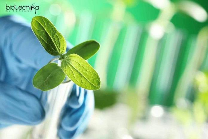 GBPIHED Biological Science Job