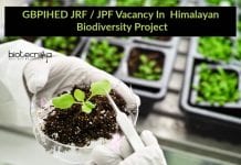 GBPIHED JRF / JPF Vacancy In Himalayan Biodiversity Project GBPIHED JRF