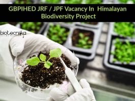 GBPIHED JRF
