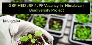 GBPIHED JRF