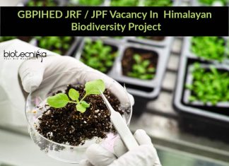 GBPIHED JRF / JPF Vacancy In Himalayan Biodiversity Project GBPIHED JRF