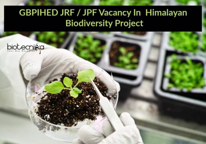 GBPIHED JRF