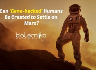 Can ‘Gene-hacked’ Humans Be Created To Settle On Mars? ‘Gene-hacked’ Humans on Mars