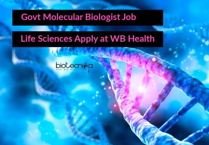 Govt Molecular Biologist Job