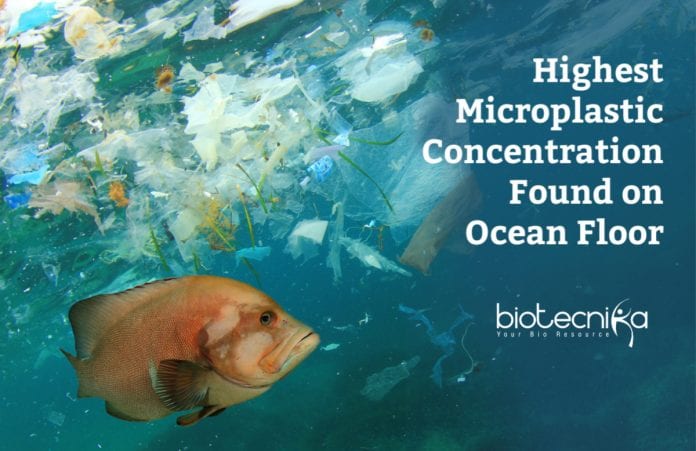 High microplastic concentration found on ocean floor