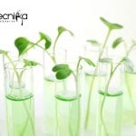 ICAR-IARI Biotech / Life Sciences / Microbiology Research Recruitment ICAR-IARI Biotech