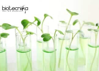ICAR-IARI Biotech
