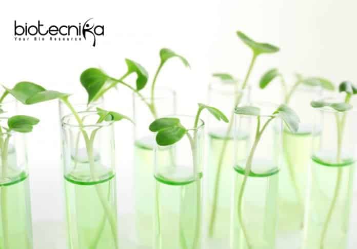 ICAR-IARI Biotech