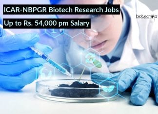 ICAR-NBPGR Biotech Research Jobs