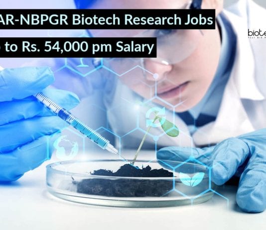 ICAR-NBPGR Biotech Research Jobs