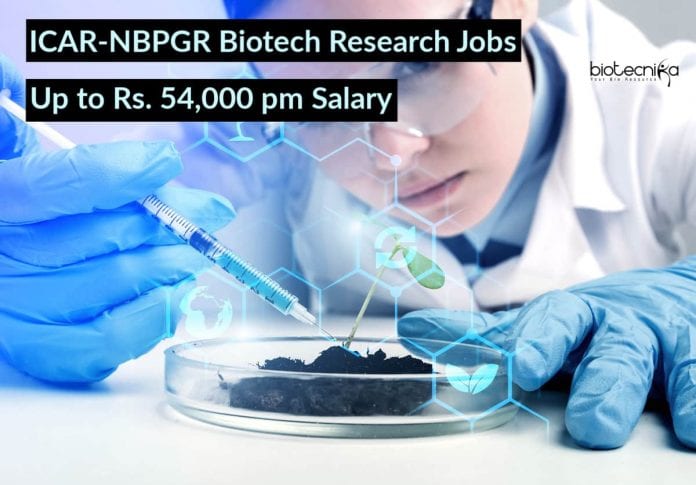 ICAR-NBPGR Biotech Research Jobs