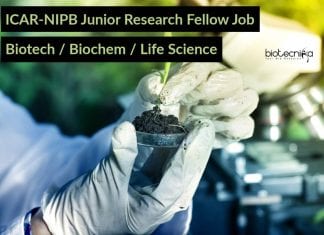 ICAR-NIPB Junior Research Fellow