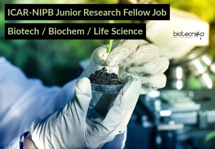 ICAR-NIPB Junior Research Fellow
