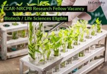 ICAR-NRCPB Research Fellow Vacancy – Biotech / Life Sciences Eligible ICAR-NRCPB Research Fellow Vacancy