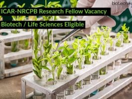 ICAR-NRCPB Research Fellow Vacancy