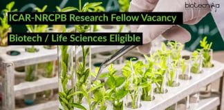 ICAR-NRCPB Research Fellow Vacancy