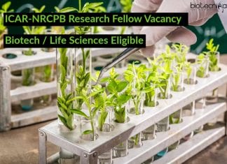 ICAR-NRCPB Research Fellow Vacancy