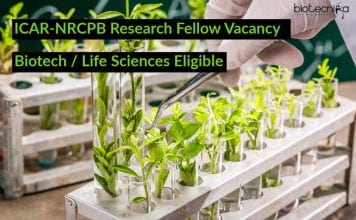 ICAR-NRCPB Research Fellow Vacancy – Biotech / Life Sciences Eligible ICAR-NRCPB Research Fellow Vacancy
