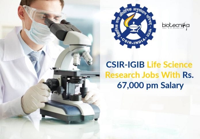 IGIB Research Jobs Latest