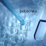 IGKV Research Fellow Job Openings – Plant Biotech / Molecular Biology Apply IGKV Research Fellow Job