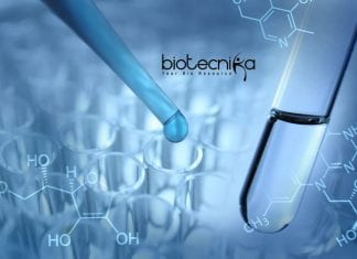 IGKV Research Fellow Job Openings – Plant Biotech / Molecular Biology Apply IGKV Research Fellow Job