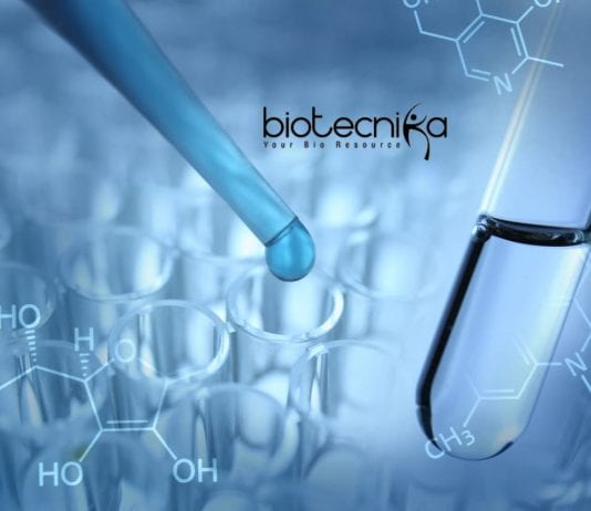 IGKV Research Fellow Job