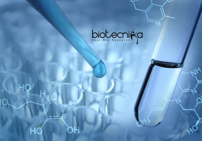 IGKV Research Fellow Job
