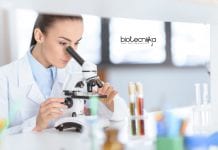 IIT Kanpur Biotech / Life Sciences JRF – MSc / MTech & BTech Apply IIT Kanpur JRF Vacancy