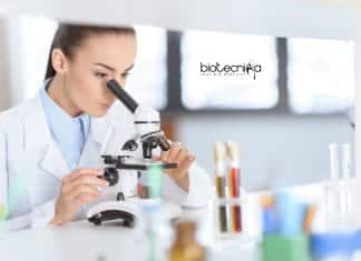 IIT Kanpur JRF Vacancy