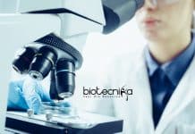 IIT Kanpur MSc / MTech Life Science Research Fellow Vacancy IIT Kanpur Research Vacancy