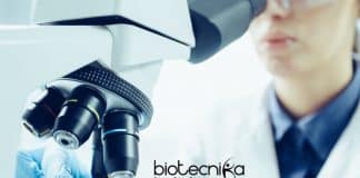 IIT Kanpur Research Vacancy