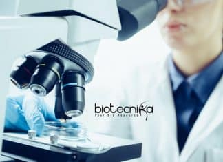 IIT Kanpur MSc / MTech Life Science Research Fellow Vacancy IIT Kanpur Research Vacancy