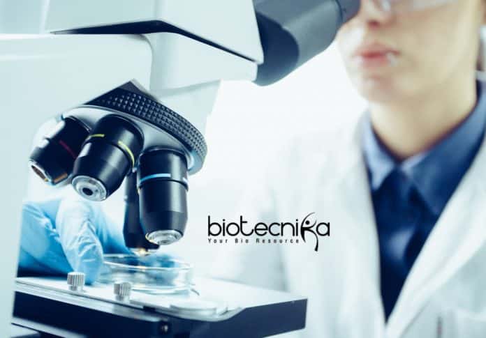IIT Kanpur Research Vacancy