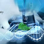 IIT Kharagpur Botany Junior Research Fellowship Recruitment IIT Kharagpur Botany