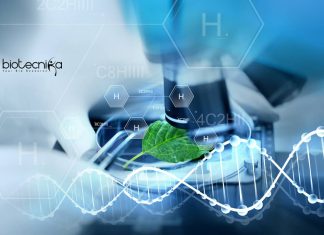 IIT Kharagpur Botany Junior Research Fellowship Recruitment IIT Kharagpur Botany