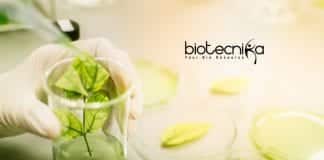 IIT Ropar Plant Sciences