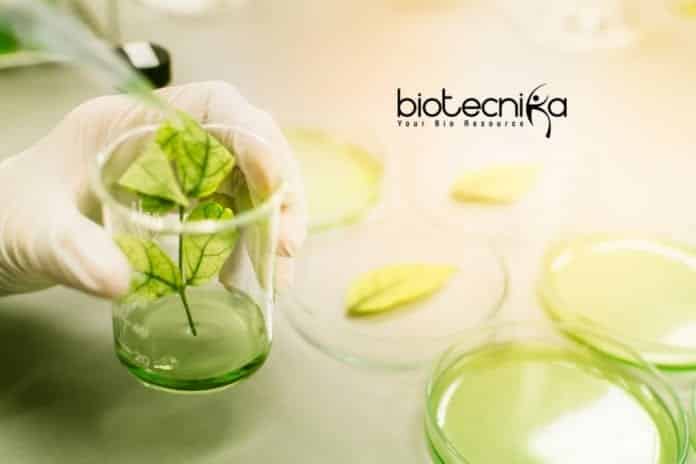 IIT Ropar Plant Sciences