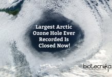 Largest Arctic Ozone Hole Ever Recorded Has Healed! The Largest Arctic Ozone Hole Closed Now