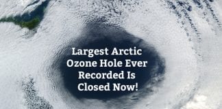 The Largest Arctic Ozone Hole Closed Now
