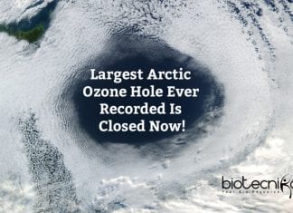 Largest Arctic Ozone Hole Ever Recorded Has Healed! The Largest Arctic Ozone Hole Closed Now
